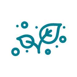 ECOTOXICOLOGICAL TESTS